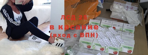 амф Богданович
