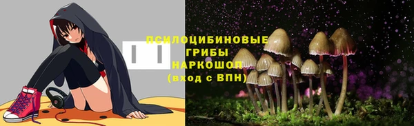 MDMA Богородицк