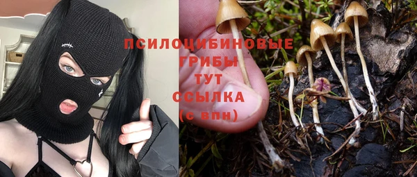 гидропоника Бронницы