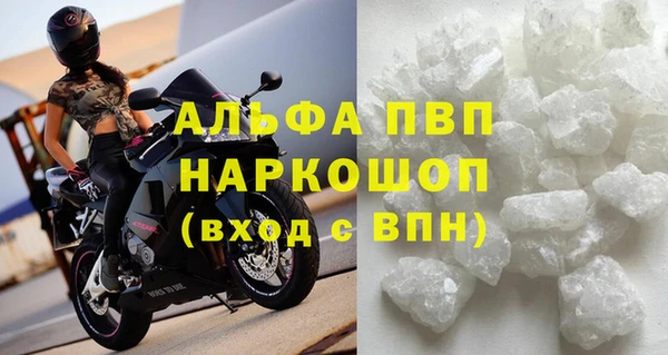 амф Богданович