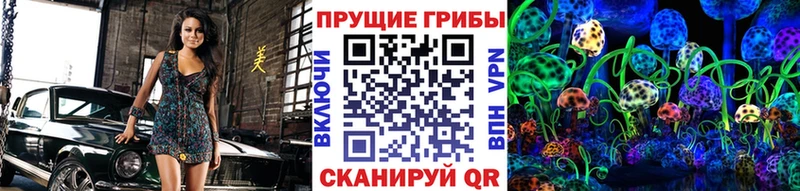 Галлюциногенные грибы MAGIC MUSHROOMS  наркошоп  blacksprut ссылка  Тольятти 